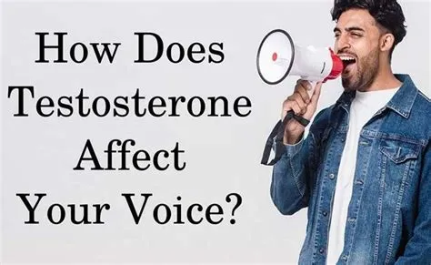 Will my voice change on testosterone?