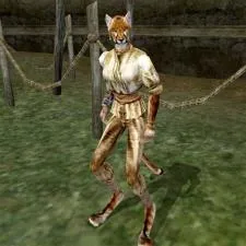 Why do people like morrowind?