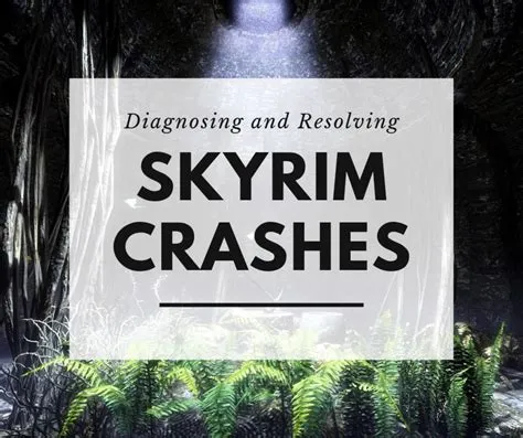 How often does skyrim crash on pc?