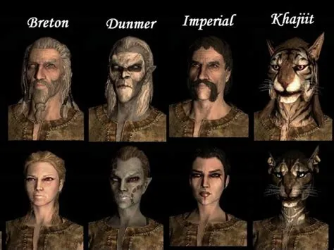 What race should i be in skyrim for beginners?