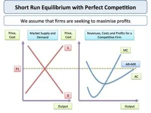 Who sets the price in a competitive market?