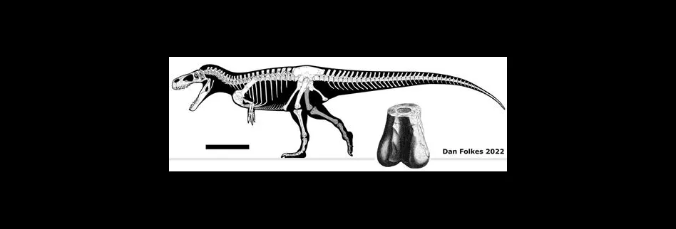 Is the bone plot real?