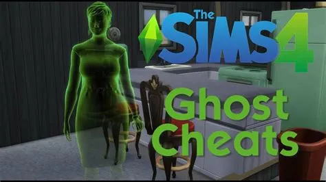 How do you cheat a ghost to a human in sims 3?