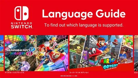 What language did snes use?