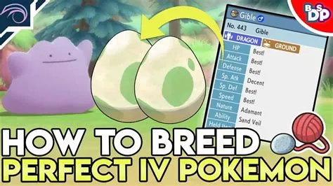 What are perfect ivs?