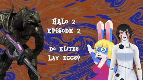 Do halo elites lay eggs?