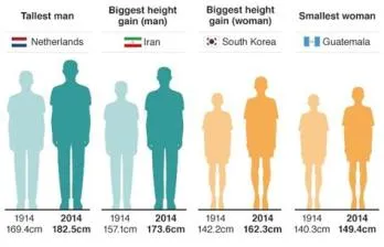 Which nationality is the tallest?