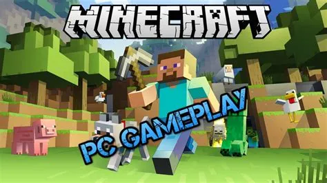 Why cant i play minecraft pc?