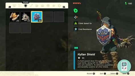 What happens if your hylian shield breaks?