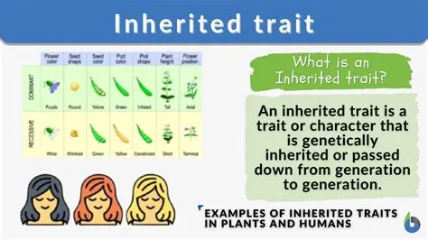 Is iq mostly inherited?