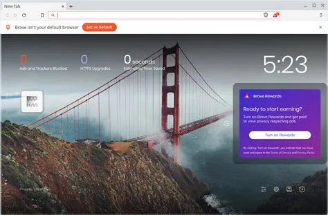 Why does everyone use brave browser?