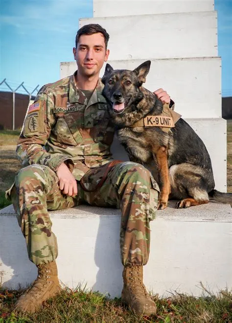 Do military police have dogs?