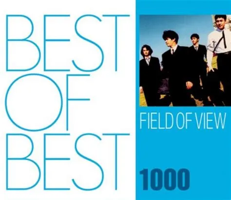 What is the field of view at 1000 m?