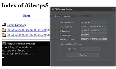 How do i check my ps5 firmware?