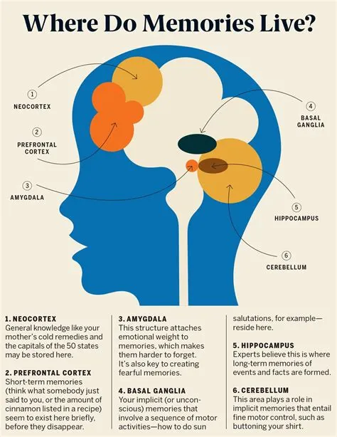 Is there a limit to how much our brain can store?