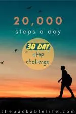 How much km is 20,000 steps?