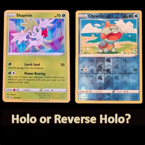 What is the difference between holo and non holo?