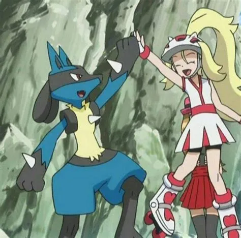 What gym leader uses lucario?