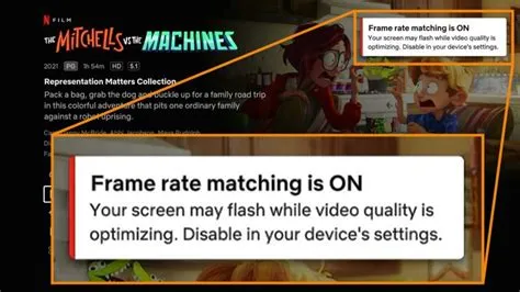 What frame rate does netflix use?