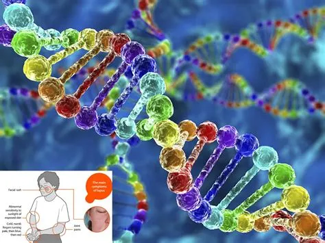 How rare are dna mutations?