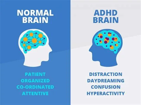 Do people with adhd have good iq?