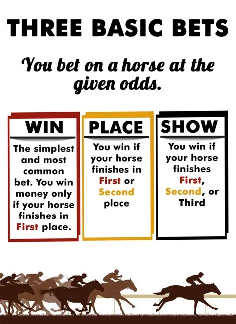 How often do high odds horses win?