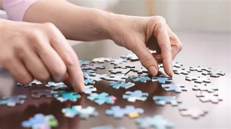 Why do people put puzzles together?