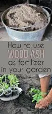 Is wood ash edible?