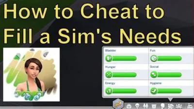 How do you reset sims needs?