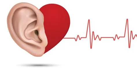 Why do i hear a heartbeat in my ear?