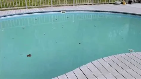 Why did my pool turn green again?