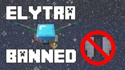 Why elytras are banned on 2b2t?