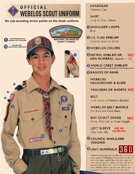 Whats higher than a boy scout?