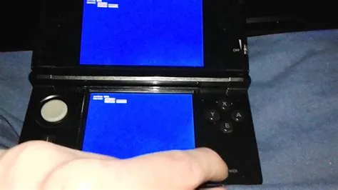 What is 3ds bricking?