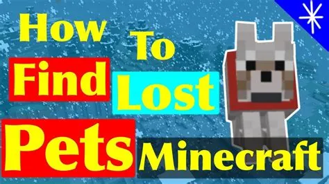 Can you lose pets in minecraft?