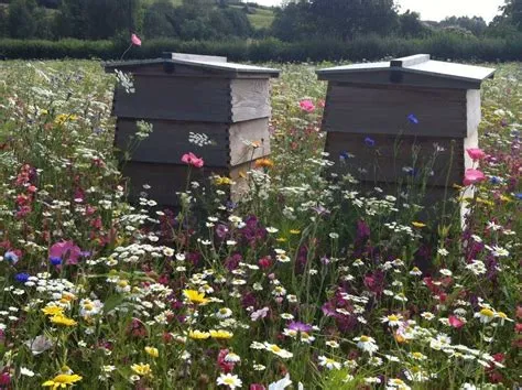 Will beehives spawn bees?