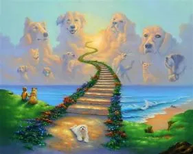 Can dogs go to heaven?