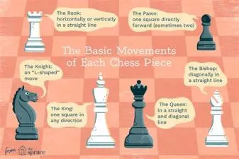 Which chess piece is the most important and moves only?