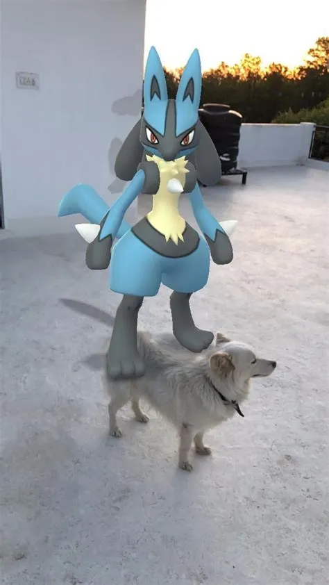 What dog is lucario?