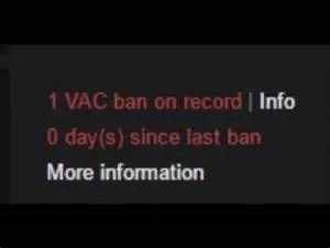 Can you get vac banned in rust?