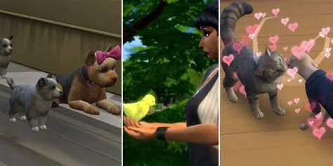 Can pets breed with strays sims 4?