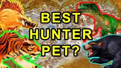 How good is the hunter in wow classic?