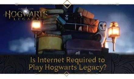 Why does hogwarts legacy say internet required?