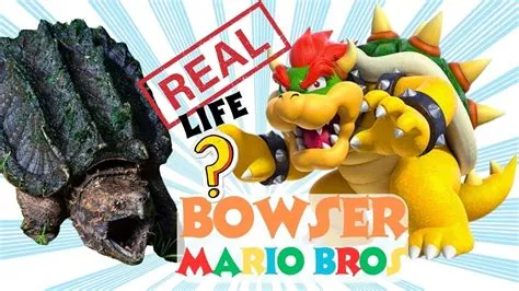 Is bowser an alligator turtle?