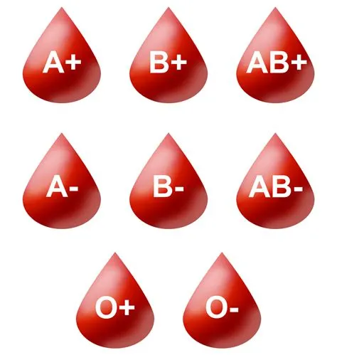 What blood type are most british?