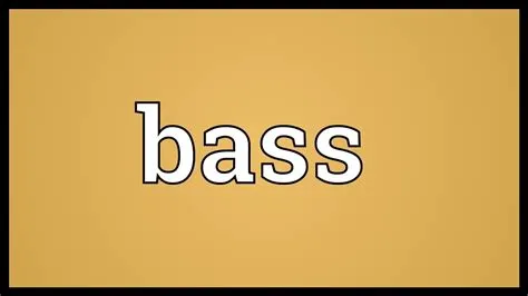 What does im all about that bass mean?