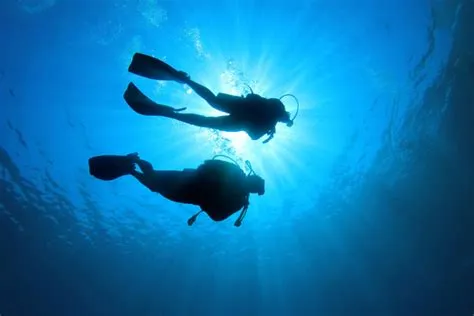 How deep underwater can a human go?