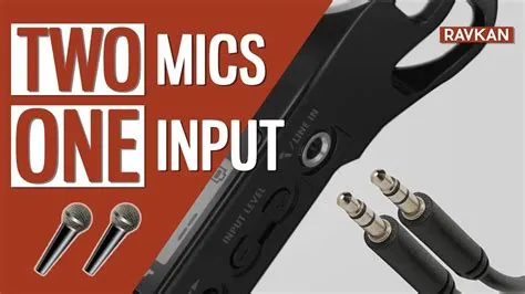 Can you use 2 mics at once?