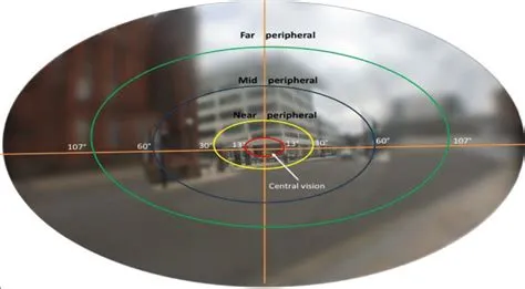 What is the best fov range?