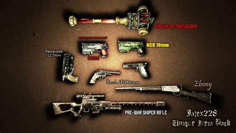 What is the rarest weapon in fallout 3?